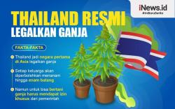 Infografis Thailand Resmi Legalkan Ganja