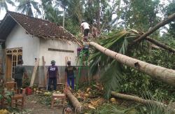 Rumah Warga Aceh Timur Rusak Tertimpa Pohon Tumbang