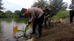 Cegah Banjir Rob dan Abrasi, Ribuan Bibit Mangrove Ditanam di Pesisir Kendal<