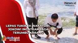 Lepas Tukik di Wakatobi, Jokowi Ingatkan Jaga Terumbu Karang<