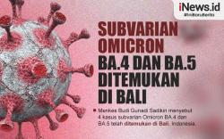 Infografis Omicron BA.4 dan BA.5 Masuk Indonesia, Menkes : Ada 4 Kasus di Bali