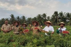  Cabai Merah Kriting di Pasar Lelang Kulonprogo Capai Rp60.000 per Kilogram
