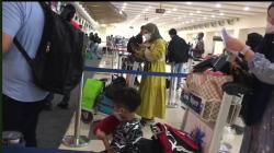 Tiket Pesawat Mahal, YLKI Minta Kemenhub Awasi Pelanggaran Tarif Batas Atas