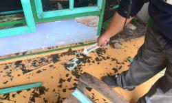 Keroyok dan Rusak Rumah Warga, Kepala Desa di Lumajang Ditangkap Polisi Usai Nyabu