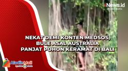 Nekat Demi Konten Medsos, Bule Asal Australia Panjat Pohon Keramat di Bali