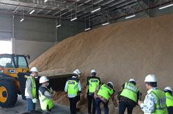 Sekam Padi Bisa Dimanfaatkan untuk Energi Biomassa yang Ramah Lingkungan