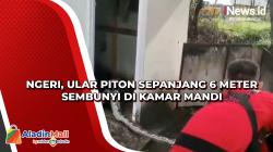 Ngeri, Ular Piton Sepanjang 6 Meter Sembunyi di Kamar Mandi
