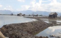 Rob Rendam 50 Rumah dan 280 Petak Tambak Warga di Bima