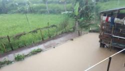 Irigasi Jebol akibat Banjir Bandang di KBB , 10 Hektare Sawah Terancam Kekeringan<