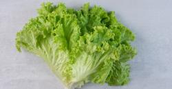 Ketahui 5 Lalapan Penurun Kolesterol Tinggi, Sehat Dimakan Sehari-hari 