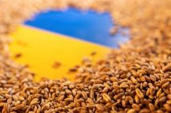 Dituduh Kirim 100.000 Ton Gandum Ukraina ke Suriah, Rusia: Berita Palsu!