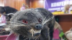 Polisi Bongkar Lokasi Pengawetan Hewan Dilindungi, 1 Pelaku Ditangkap