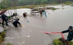 Tiga Penambang Timah di Tahura Bukit Mangkol Dilimpahkan ke Kejati Babel, Satu Buron