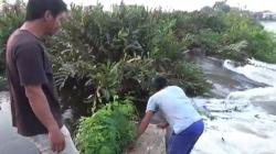 Tanggul Sungai Meduri di Pekalongan Jebol, Ribuan Rumah Terendam Banjir