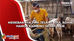 Merebaknya PMK Jelang Idul Adha, Harga Kambing Sehat Naik