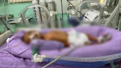 3 Bayi Kembar Lahir di RSUD Indramayu, Kondisinya Lemah dan Dirawat Intensif di NICU