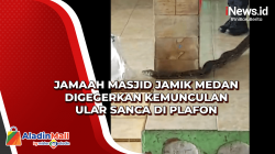 Jamaah Masjid Jamik Medan Digegerkan Kemunculan Ular Sanca di Plafon
