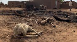 Pembantaian Paling Mengerikan di Afrika, Ada Korban yang Dibakar Hidup-Hidup