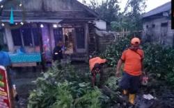 Bencana Angin Puting Beliung di HSS Tewaskan 1 Orang, 11 Rumah Rusak<
