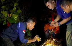 Buaya Penerkam Penjala Ikan di Pelalawan Ditemukan Mati Penuh Luka