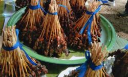 Gelar Festival Gurita dan Surfing Competition 2022, Kabupaten Kaur Raih Rekor MURI