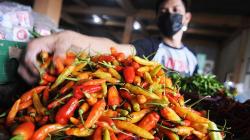 Harga Berbagai Jenis Cabai di Pasar Jakarta Hari Ini Turun Jadi Segini