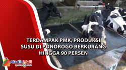 Terdampak PMK, Produksi Susu di Ponorogo Berkurang Hingga 90 Persen