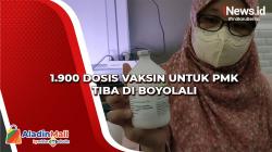 1.900 Dosis Vaksin untuk PMK Tiba di Boyolali