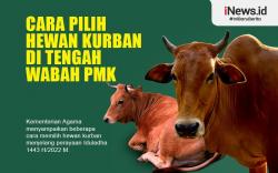 Infografis Cara Pilih Hewan Kurban di Tengah Wabah PMK