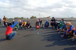 Jaga Segaraku, Dinas Kelautan dan Perikanan Kulonprogo Lepas 144 Tukik di Pantai Bugel