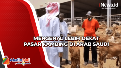 Mengenal Lebih Dekat Pasar Kambing di Arab Saudi