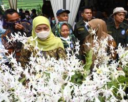 Gubernur Khofifah Sebut Ekspor Anggrek Jatim Terkendala Regulasi Karantina