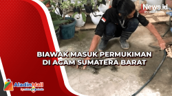 Biawak Masuk Permukiman di Agam Sumatera Barat