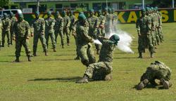 Atraksi Bela Diri hingga Defile Pasukan Warnai Sertijab Danyonif Mekanis Raider 413 Bremoro