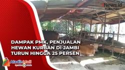 Dampak PMK, Penjualan Hewan Kurban di Jambi Turun hingga 25 Persen