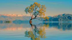 5 Fenomena Alam yang Telah Dijelaskan dalam Al Quran, Salah Satunya tentang Tumbuhan Bertasbih