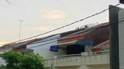 Kawanan Monyet Masuk Perumahan Mewah di Pluit, Acak-Acak Jemuran hingga Kotori Rumah