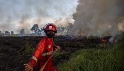 Damkar Berjibaku Padamkan Kebakaran Lahan di Desa Sukarame Ogan Ilir<