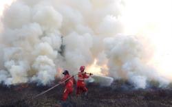 Karhutla Melanda Lahan di Pemulutan Ogan Ilir, Ini Penjelasan Manggala Agni <