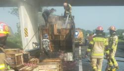 Pikap Bermuatan Buah Terbakar di Tol Cipali, Lalu Lintas ke Jakarta Sempat Ditutup<