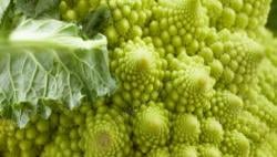 7 Sayuran Paling Unik di Dunia yang Jarang Diketahui, Pernah Coba Wortel Ungu?