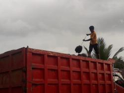 3 Hal yang Membuat Harga Sawit Turun, Begini Penjelasan Pengamat Ekonomi