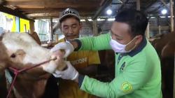 Wabah PMK Meluas Jelang Idul Adha, Ini Ketentuan Pemotongan Hewan Kurban di Luar RPH 