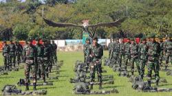 Mengenal Pasukan Raider 431/SSP, Satuan Elite TNI Tempat Prada Beryl Kholif Bertugas