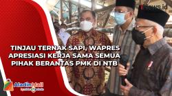 Tinjau Ternak Sapi, Wapres Apresiasi Kerja Sama Semua Pihak Berantas PMK di NTB