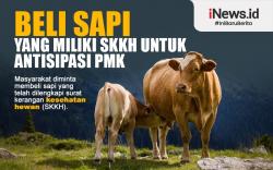  Infografis Warga Diimbau Beli Sapi yang Dilengkapi SKKH