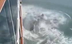 Viral, Bak Peristiwa Titanic Kapal Pesiar Tabrak Gunung Es di Alaska 