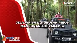 Jelajah Wisata Hutan Pinus Mangunan Yogyakarta