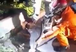 Geger! Ular King Kobra 2 Meter Ditemukan di Kampus Tarakanita   