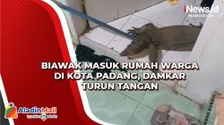 Biawak Masuk Rumah Warga di Kota Padang, Damkar Turun Tangan